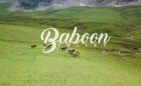 baboon-valley-tour-packages