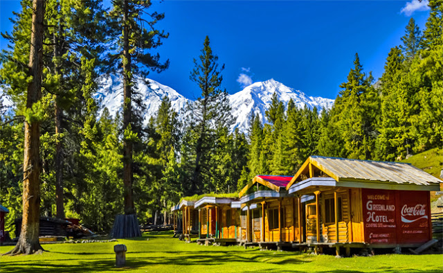 fairy-meadows-honeymoon