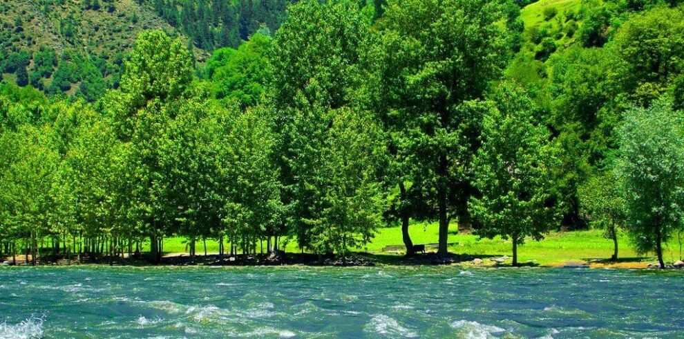 Neelum