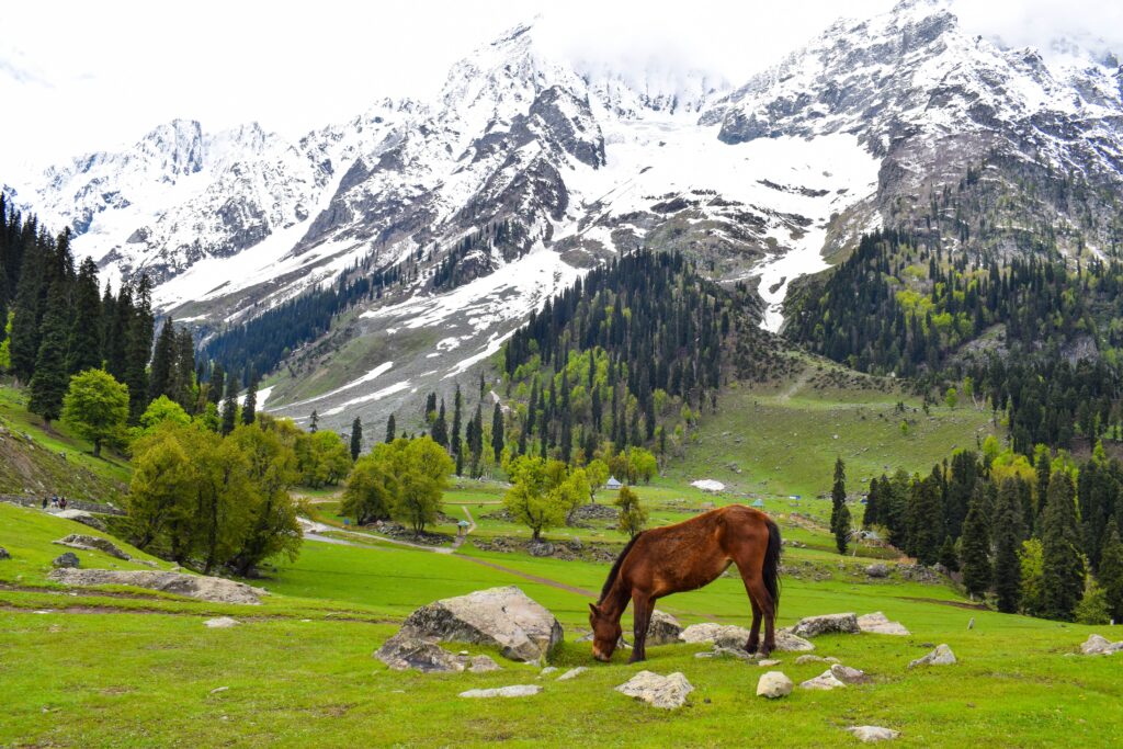 Neelum Valley